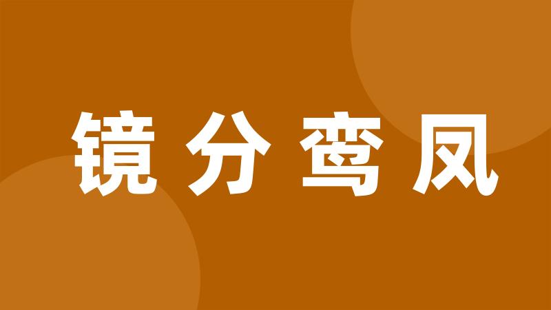 镜分鸾凤