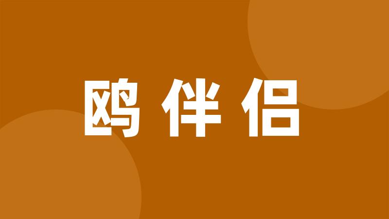 鸥伴侣