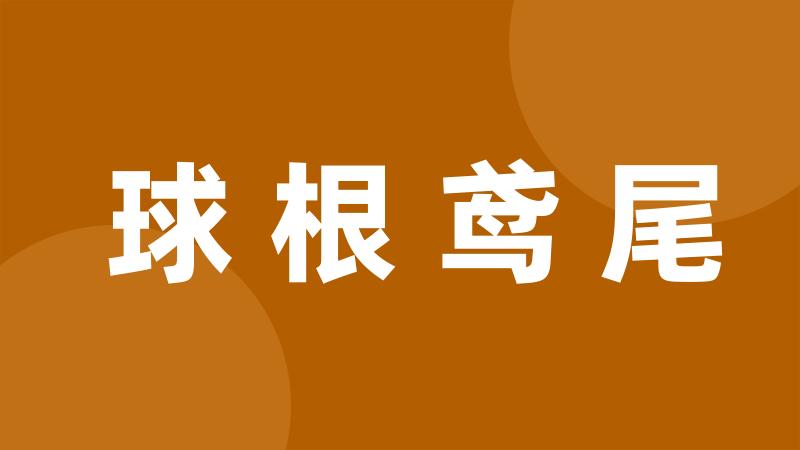 球根鸢尾