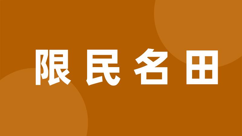 限民名田