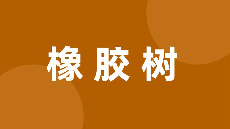 橡胶树