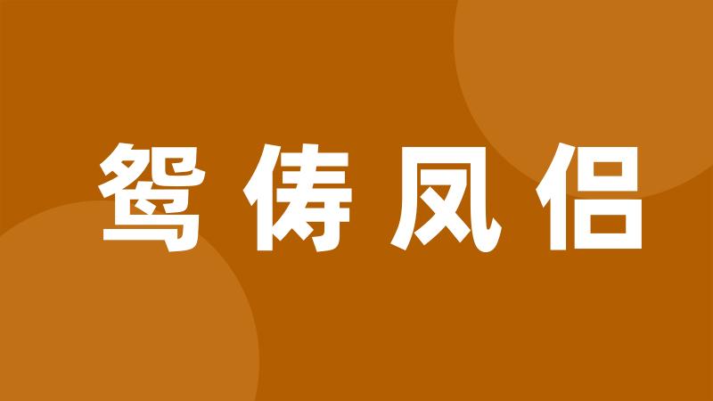 鸳俦凤侣