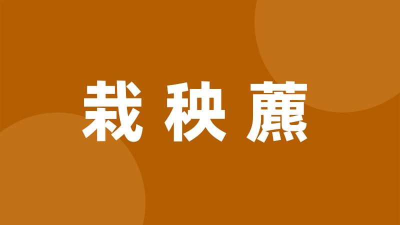 栽秧藨