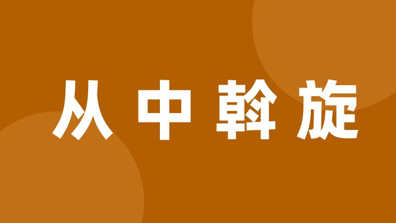 从中斡旋