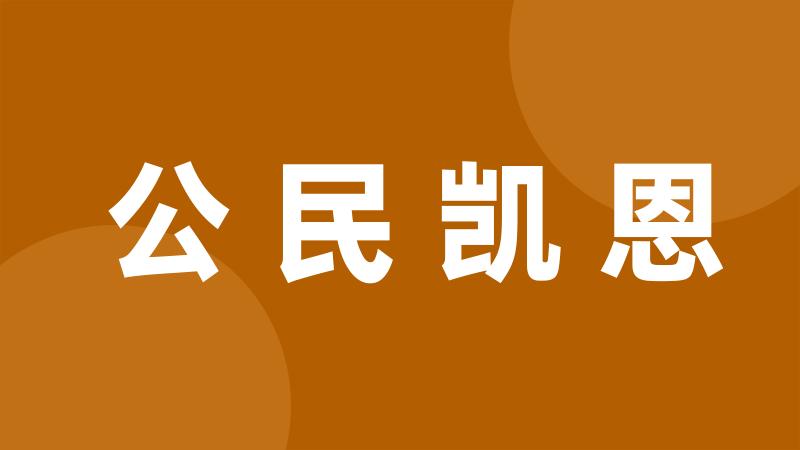 公民凯恩