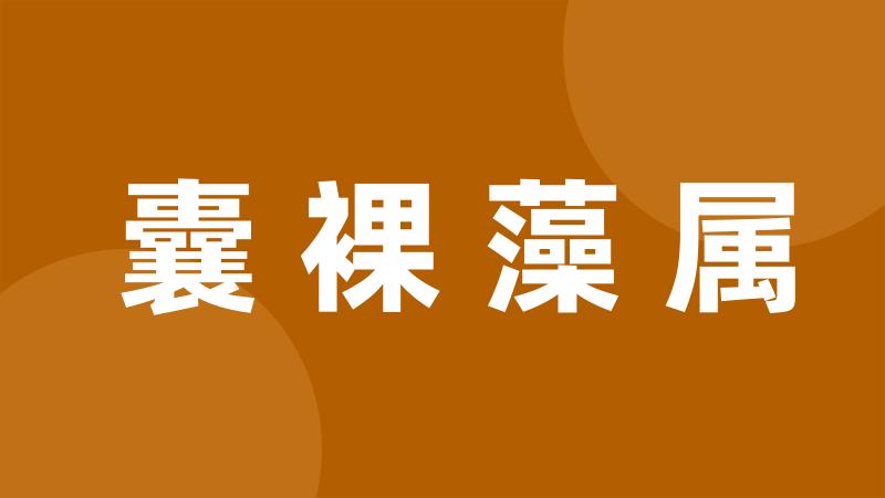 囊裸藻属