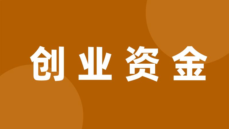 创业资金