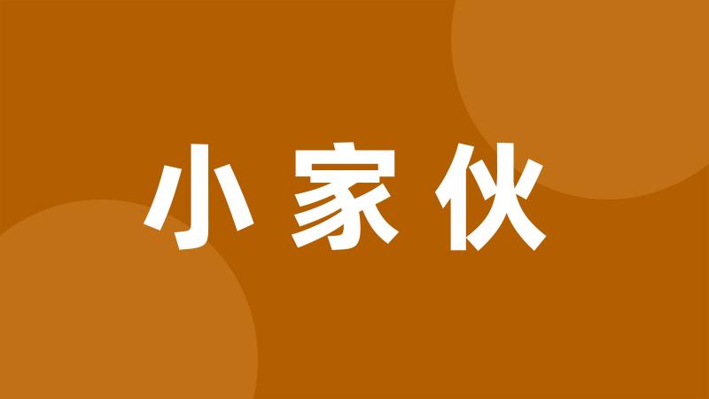 小家伙