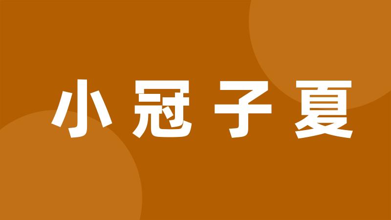 小冠子夏