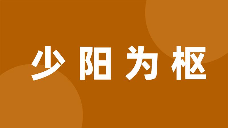 少阳为枢