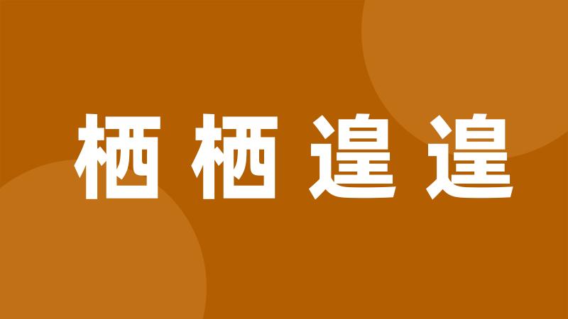 栖栖遑遑