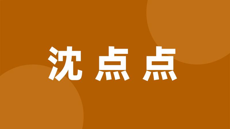 沈点点