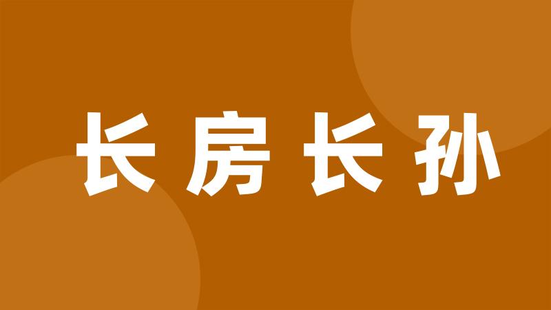 长房长孙