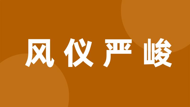 风仪严峻