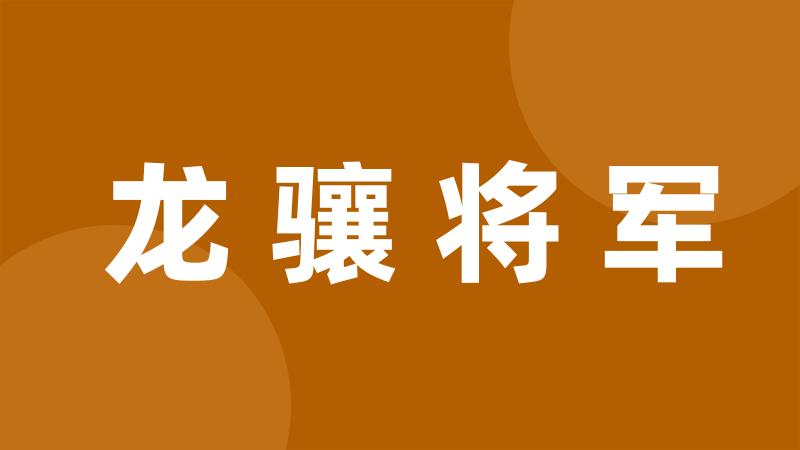 龙骧将军