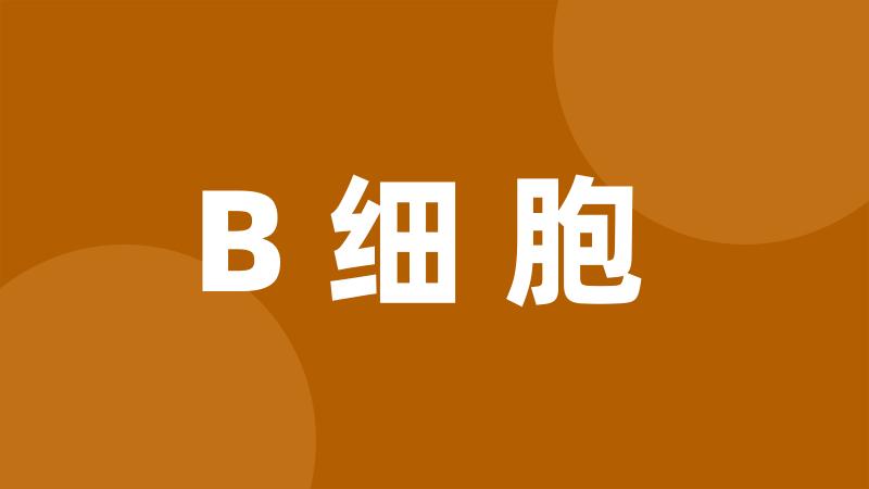 B细胞