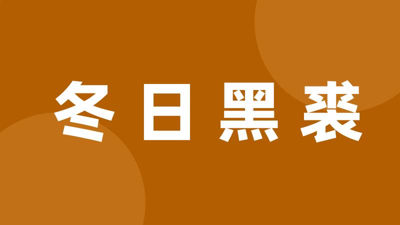 冬日黑裘