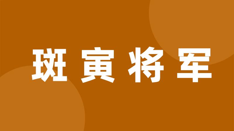 斑寅将军