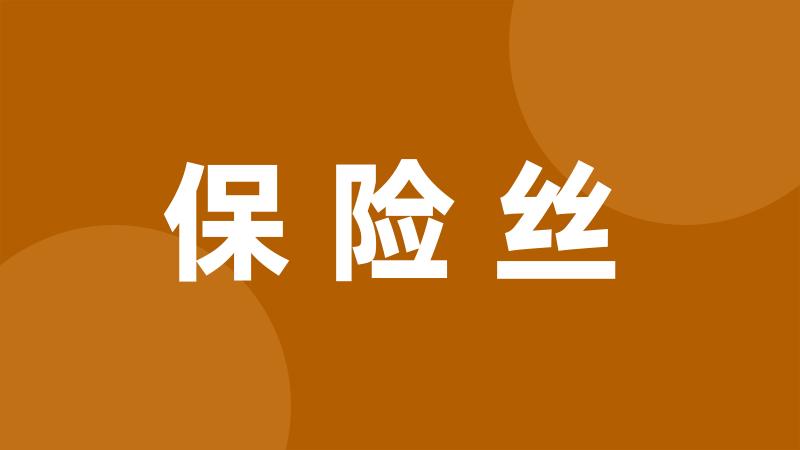 保险丝