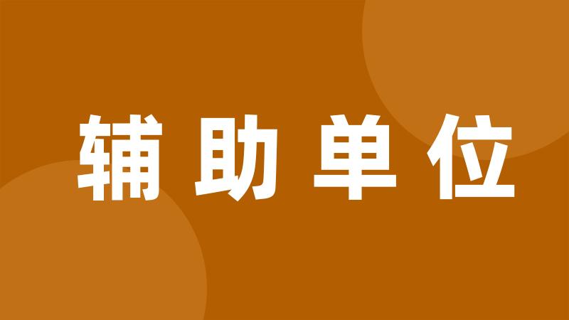 辅助单位